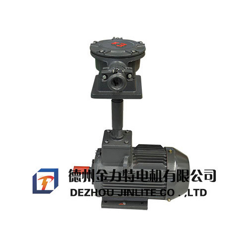 加長型風(fēng)機(jī)用YB3系列隔爆型三相異步電動機(jī)