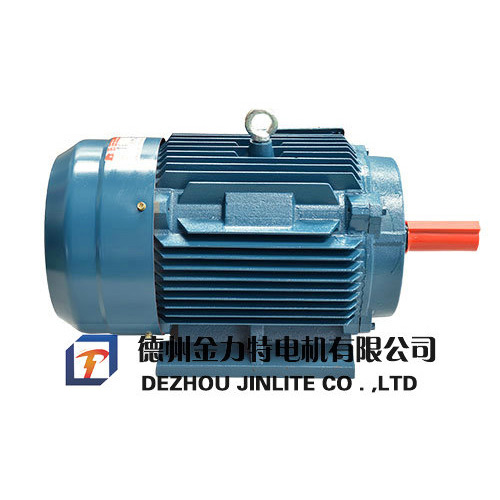 YDT系列變極多速三相異步電動機(jī)