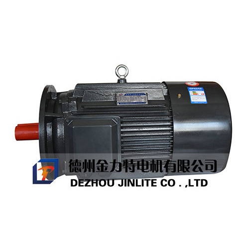 YD系列變極多速三相異步電動機(jī)