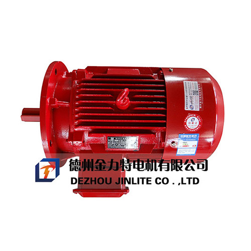 YE2系列高效節(jié)能高溫三相異步電動機(jī)